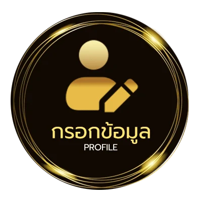 โปรไฟล์ เน็ต150รายเดือน